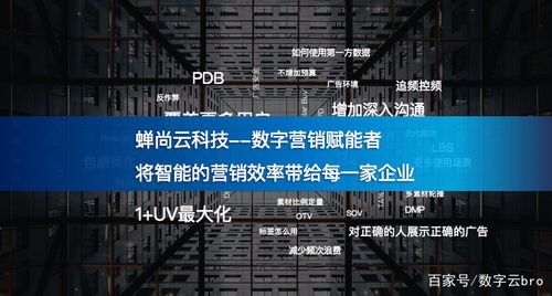 蝉尚云科技与时粹科技 携手赋能企业数字化转型新篇章